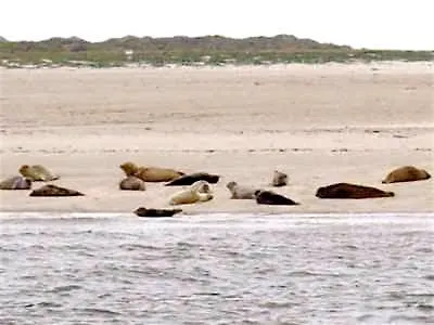 Nordsee Haus An't Oll Deep ドルヌマージール